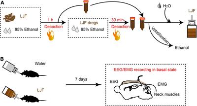 Lonicerae Japonicae Flos Extract Promotes Sleep in Sleep-Deprived and Lipopolysaccharide-Challenged Mice